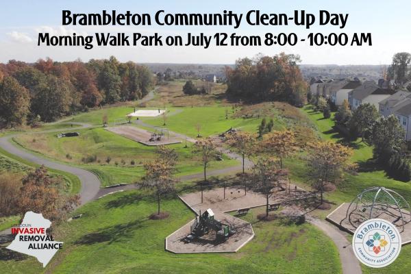 Brambleton Invasive Plant Removal Community Event