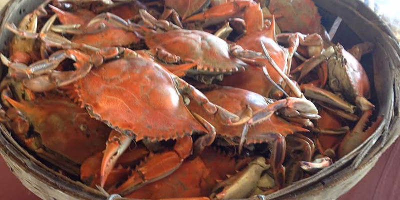 J. Millard Crab and Clam Bake