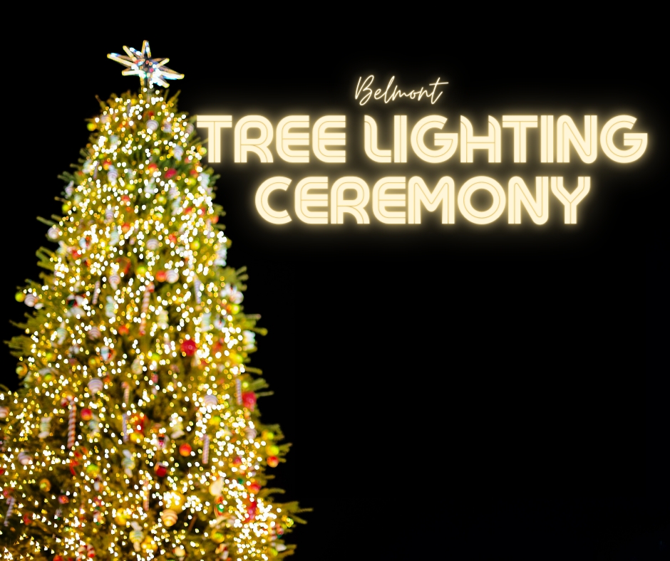 Christmas Tree Lighting Ceremony cover image