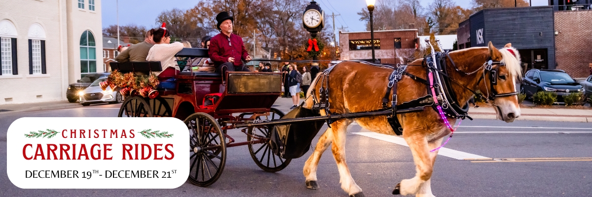 2025 Horse Carriage Rides