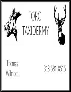 Toro Taxidermy
