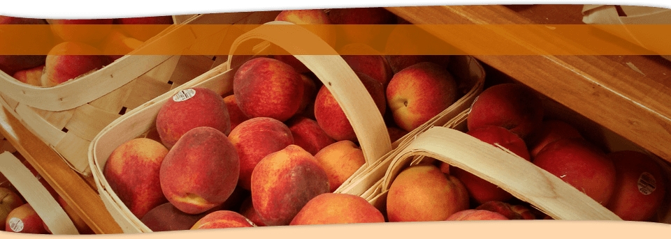 Georgia Peach Festival