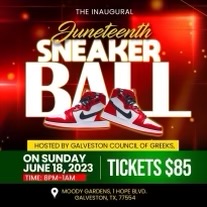 Juneteenth Sneakerball cover image