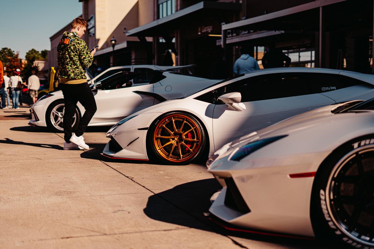 Early Bird cover picture