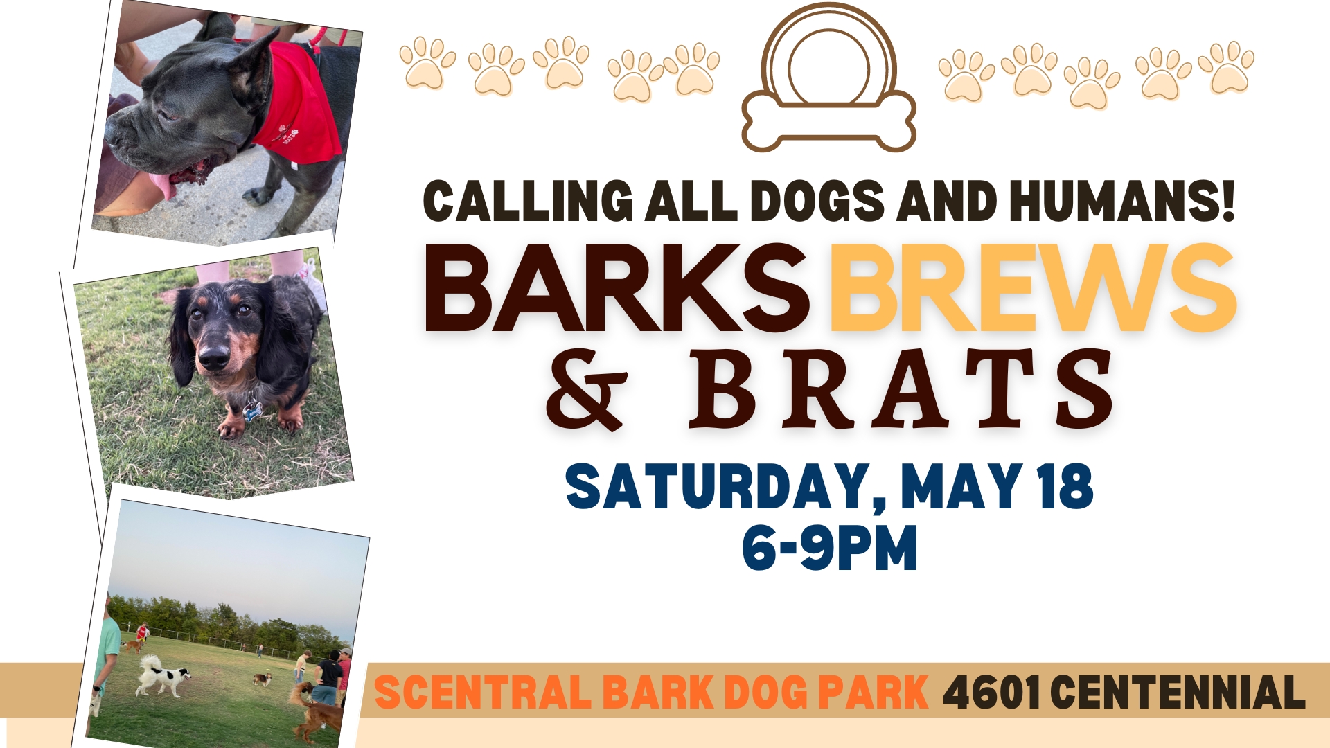 Barks Brews and Brats cover image