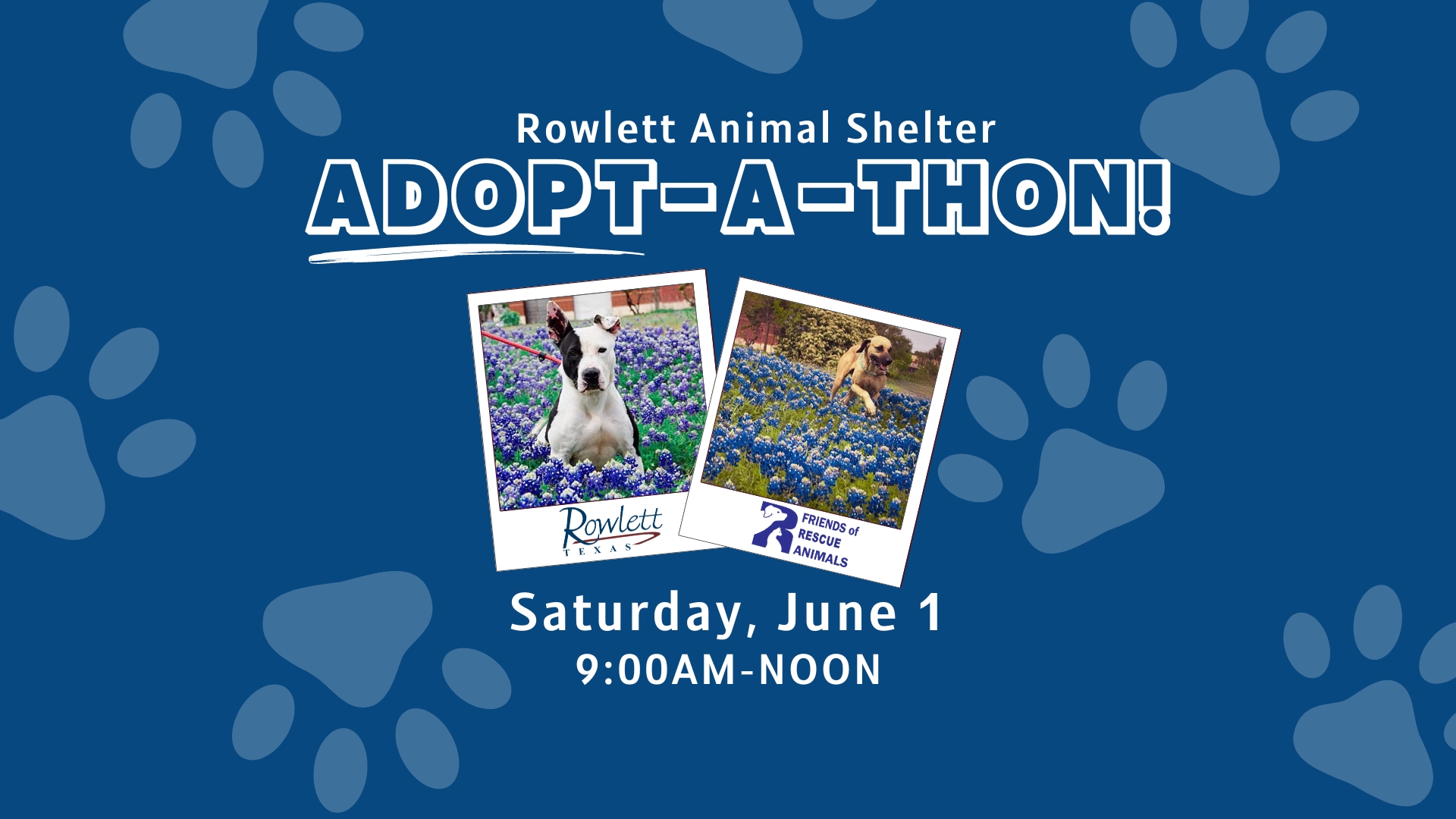 Rowlett Animal Shelter Adopt-A-Thon!