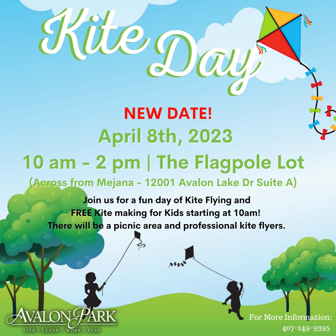 Kite Day cover image