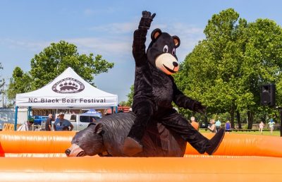 Mechanical Bear Mechanical Bear
