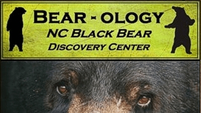 Bearology Museum Bearology Museum