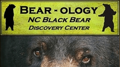 Bearology Museum