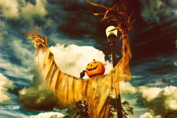 Scarecrow Harvest (Pre-K through 5th grade) Classroom Application Scarecrow Harvest (Pre-K through 5th grade) Classroom Application