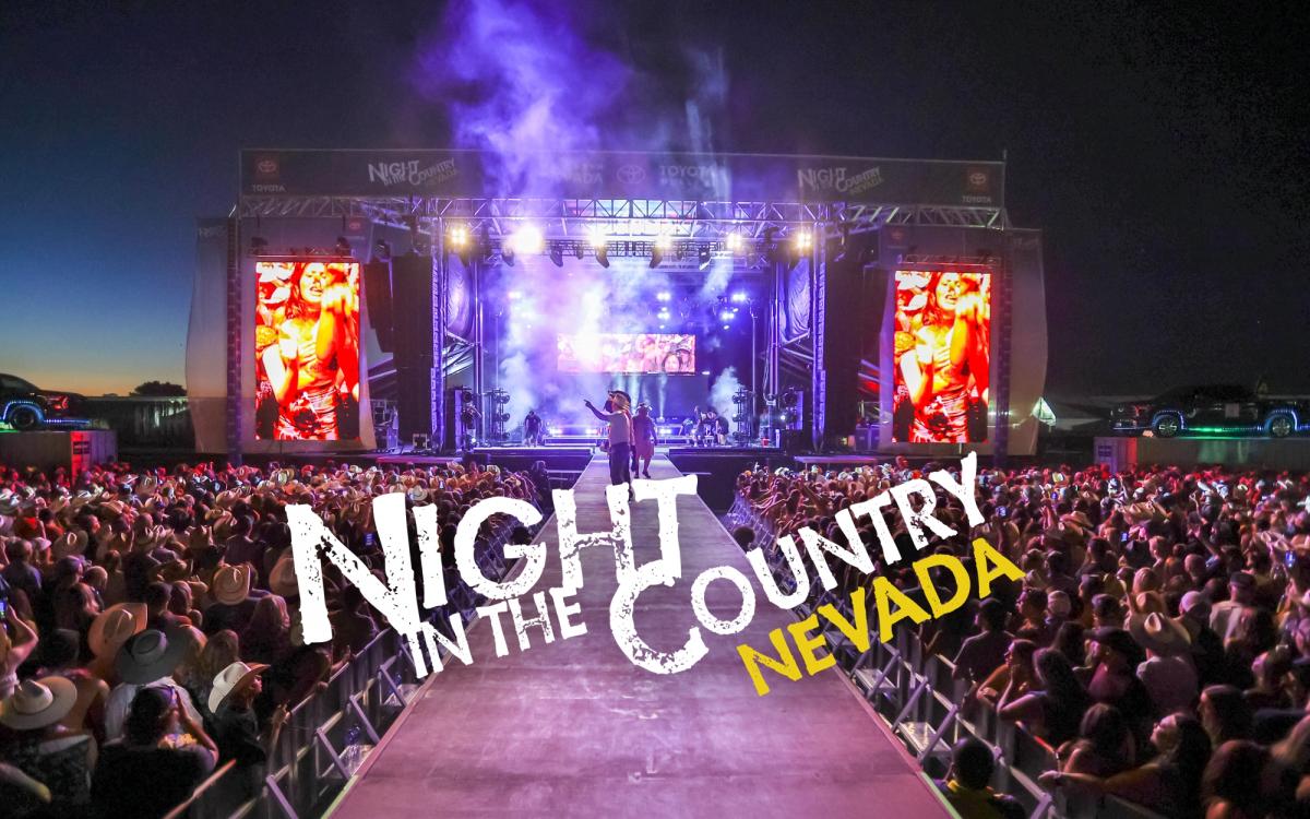 Night in the Country 2024 cover image