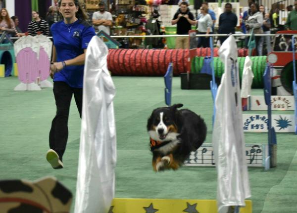 2026 Novi Pet Expo