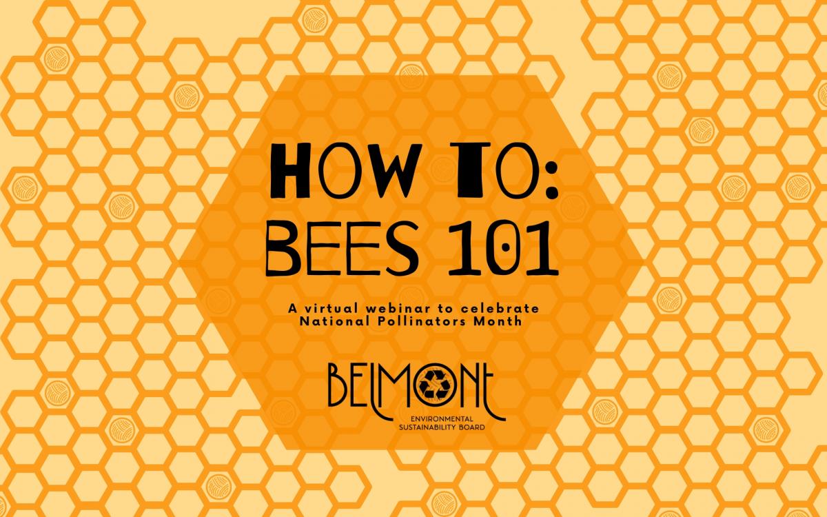 How To: Bees 101