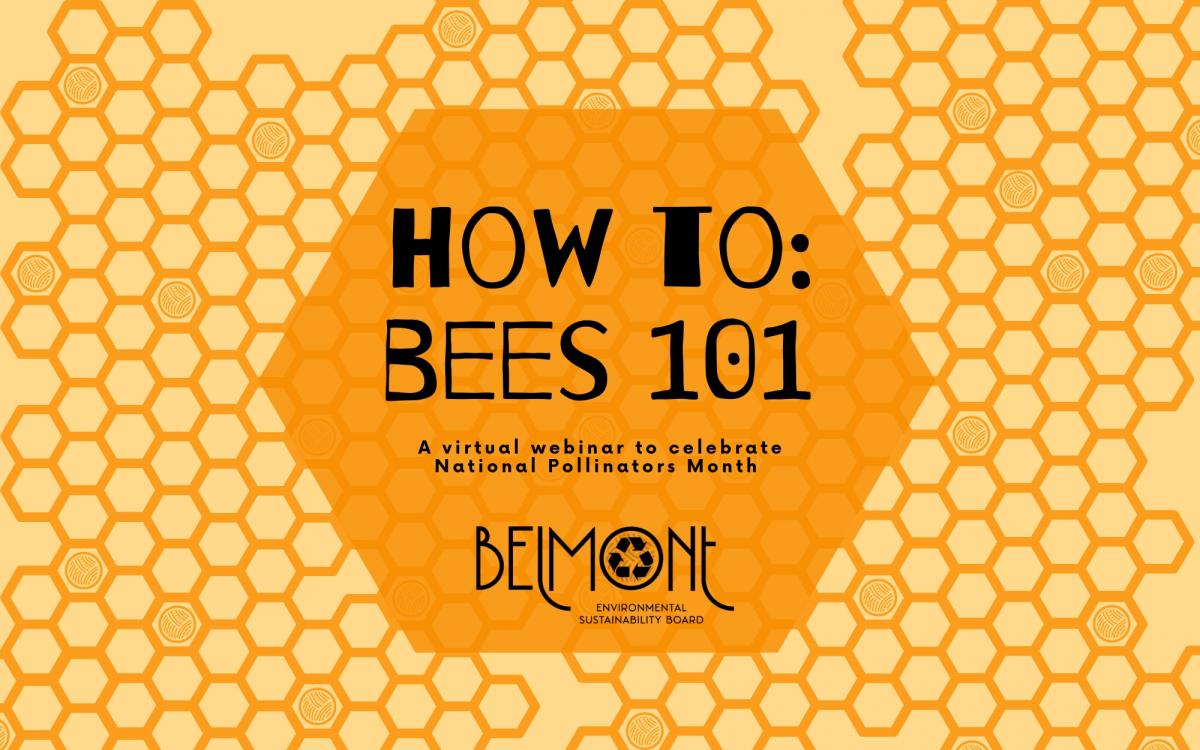 How To: Bees 101 cover image