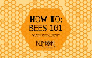 How To: Bees 101 Virtual Webinar Registration cover picture