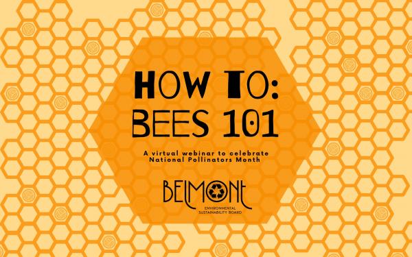 How To: Bees 101