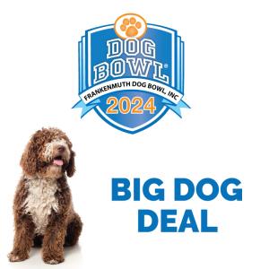 The Big Dog Deal! SATURDAY ONLY cover picture