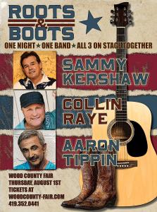 Track Ticket - Roots & Boots Concert cover picture