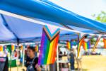 Great Lakes Bay Pride Festival 2025