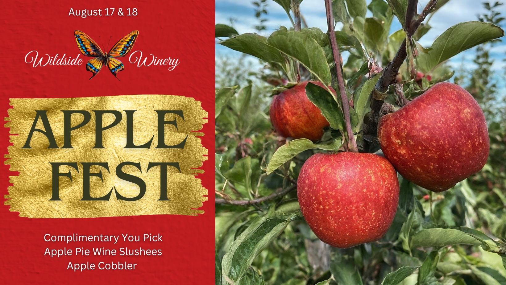 Apple Fest at Wildside Winery cover image