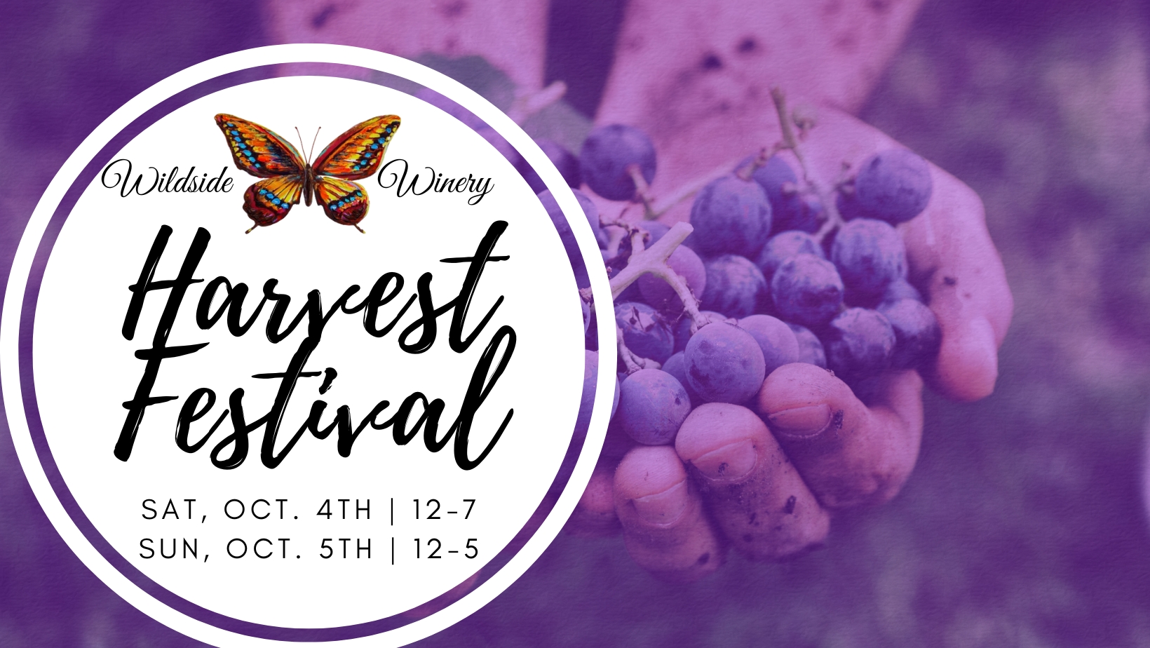 25 Harvest Festival @ Wildside