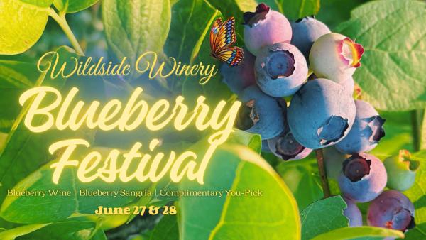 2026 Blueberry Festival