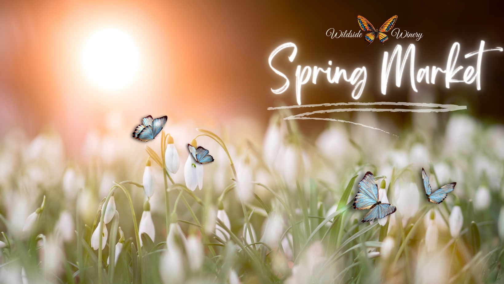 23 Spring Market @ Wildside cover image