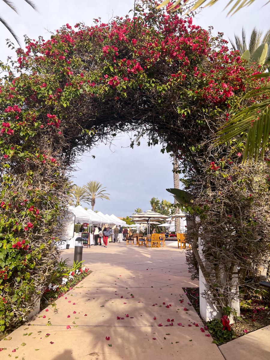 Traveling Artisans' Handmade Market @ Omni La Costa Resort & Spa 02/18