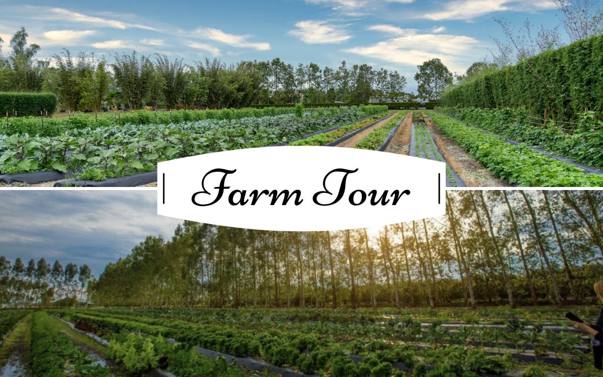 Guided Farm Tour