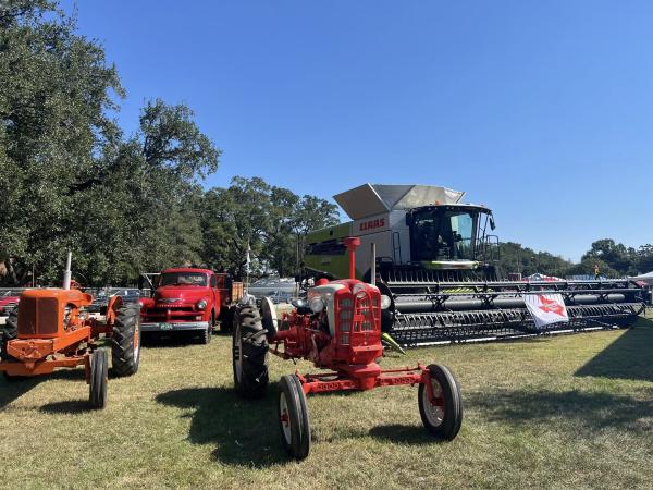 Katy Rice Harvest Festival 2026