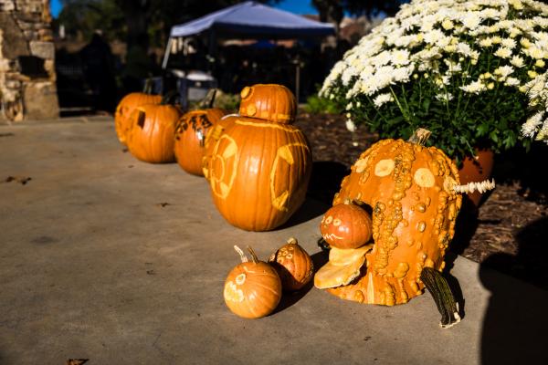 Jack-o'-Lantern contest at Boofest in Belmont NC