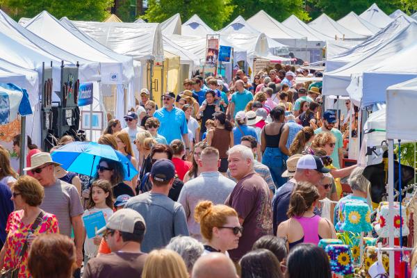 2024 Dunwoody Art Festival Artist Application