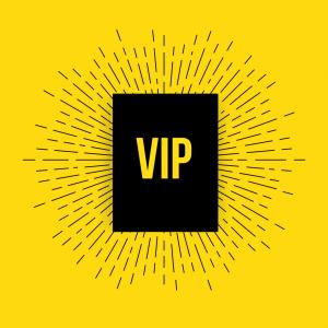 4-Day Full Weekend VIP Ticket cover picture