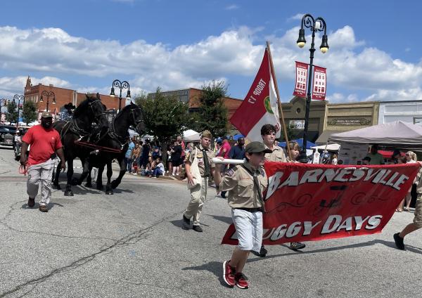 Buggy Days Parade Application