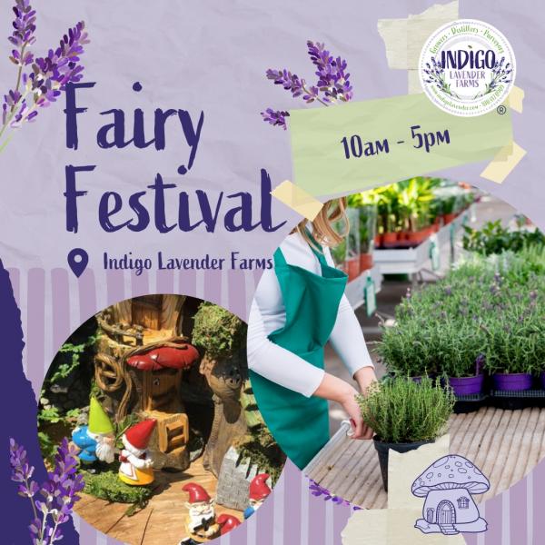 Vendor Registration - Fairy Festival