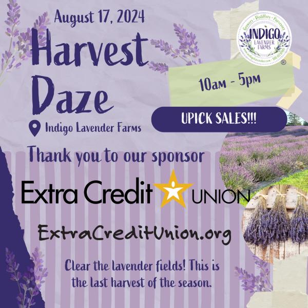 Vendor Registration - Harvest Daze