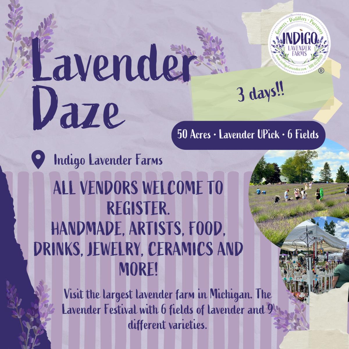 2025 Lavender Daze Eventeny