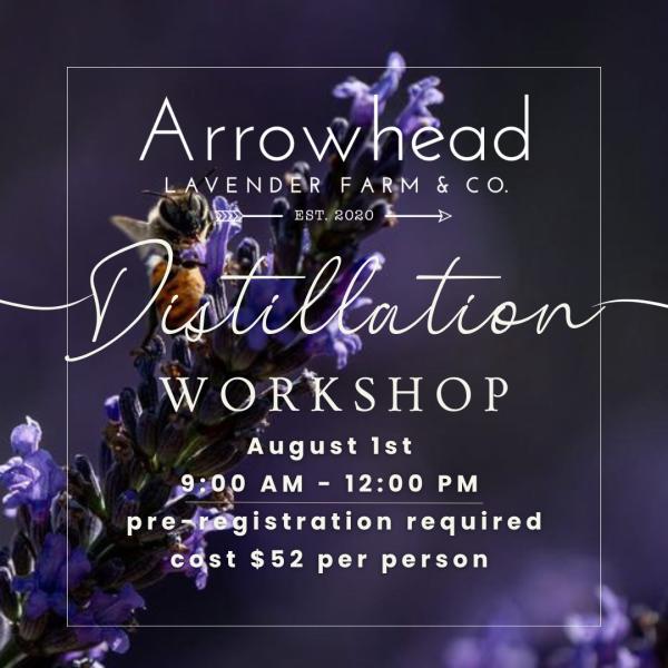 Essential Oil Distillation 101-From field to bottle