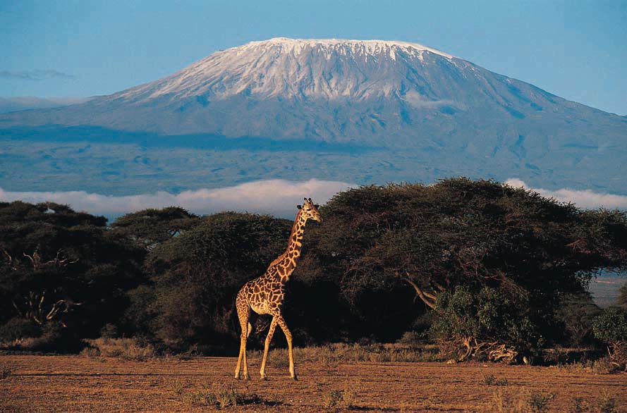 Arusha, Tanzania cover image