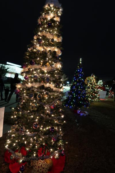 Christmas Trees on Main