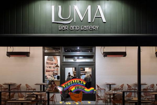 LGBTQ+ Speed Friending Event