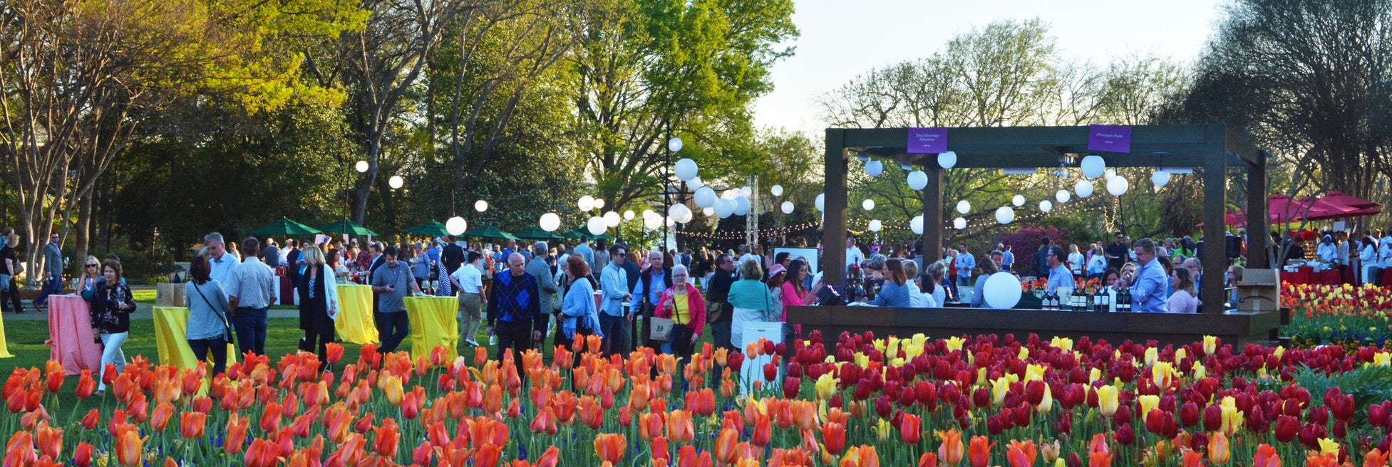 Dallas Arboretum Food & Wine Festival 2024 cover image