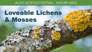Lovable Lichens & Mosses (Thursday - Morning) cover picture
