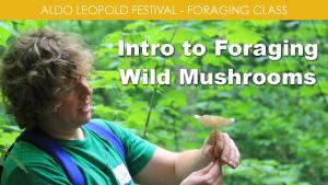Foraging for Wild Mushrooms (Friday) cover picture