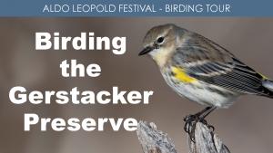 Birding the Gerstacker Preserve cover picture