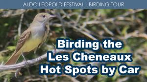 Birding Les Cheneaux Hotspots by Car cover picture