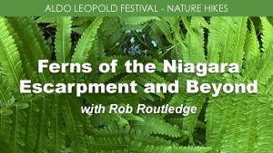 Ferns of the Niagara Escarpment & Beyond (Saturday) cover picture