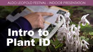 Intro to Plant ID (Thursday) cover picture