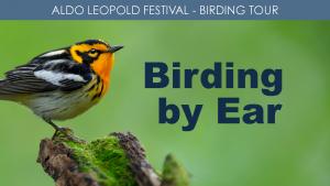 Birding By Ear (Saturday) cover picture